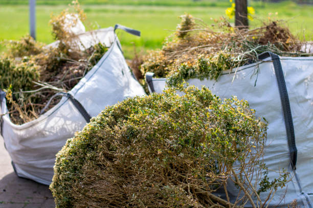 Best Commercial Junk Removal  in Centennial Park, AZ